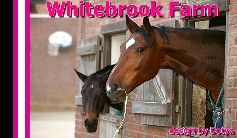 Ω Whitebrook Farm Ω